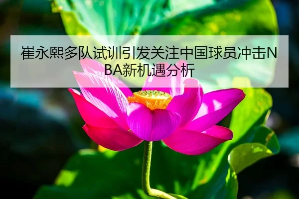 崔永熙多队试训引发关注中国球员冲击NBA新机遇分析