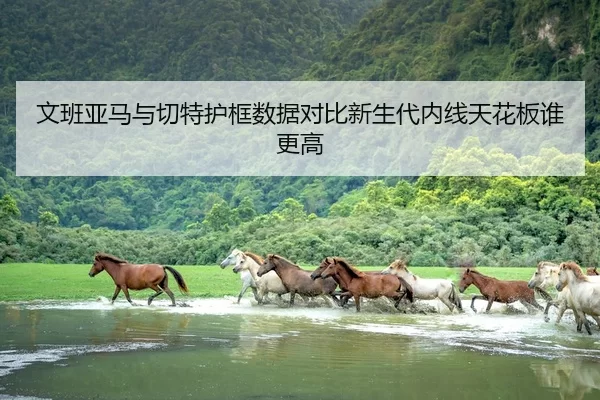 文班亚马与切特护框数据对比新生代内线天花板谁更高