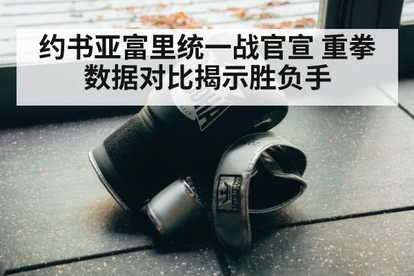 约书亚富里统一战官宣 重拳数据对比揭示胜负手（ayx）