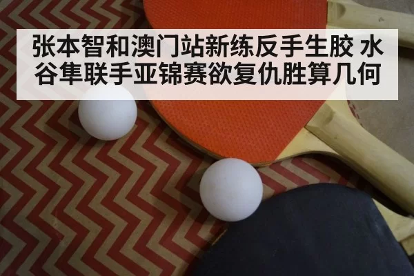 ping pong paddle closeup